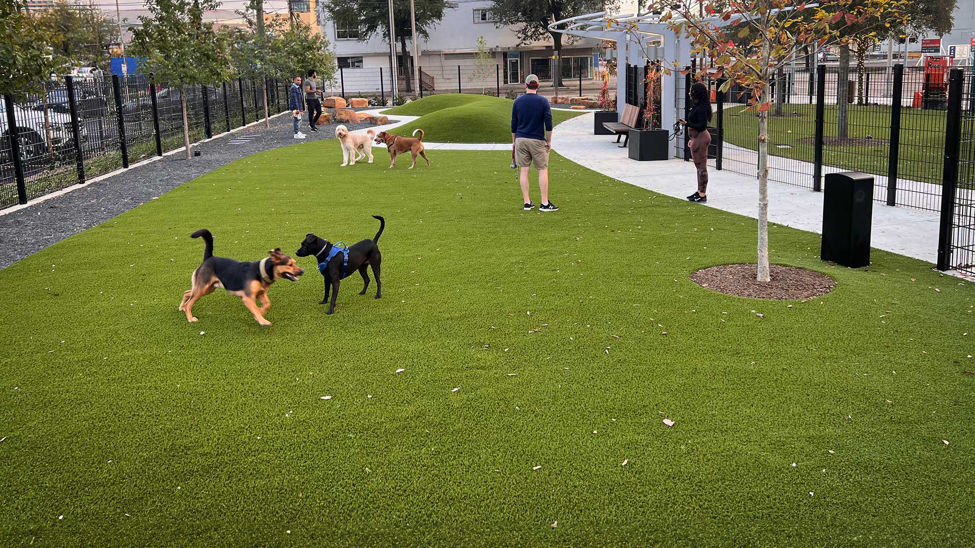 Dog run fence installation Houston